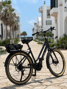 Electric Bike Rental