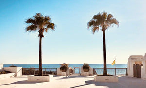 Beach Made Easy - Photo 2
